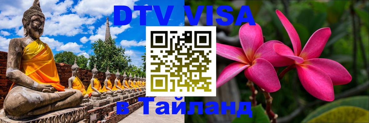 Сколько стоит DTV виза — актуальные цены, оформление даже без документов - Сыктывкар 